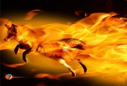 Antecipado o lançamento do Firefox 3.6.2