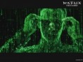 /album/papeis-de-parede/matrix-jpg/